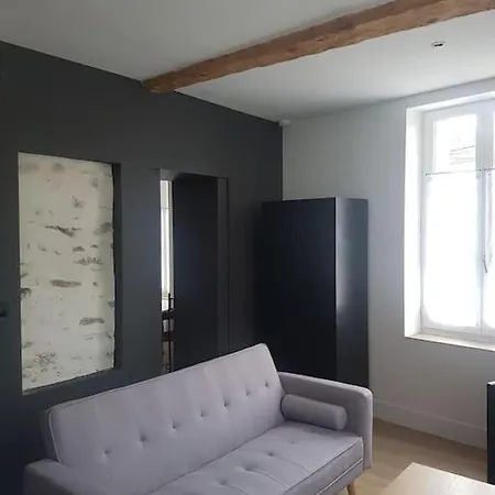 Le Merlane - A 2 Pas De La Cite & Du Centre Appartamento Carcassonne